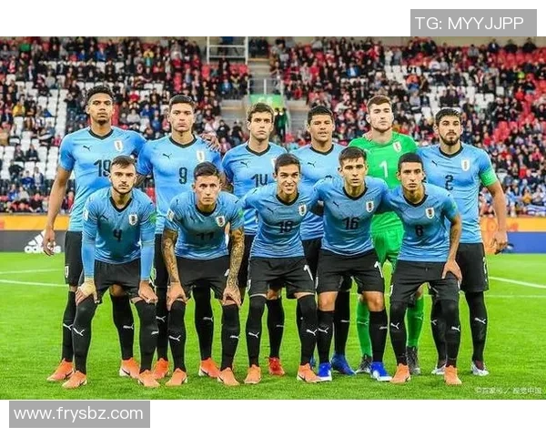 冰岛与阿尔巴尼亚2019年足球对决回顾及精彩瞬间分析